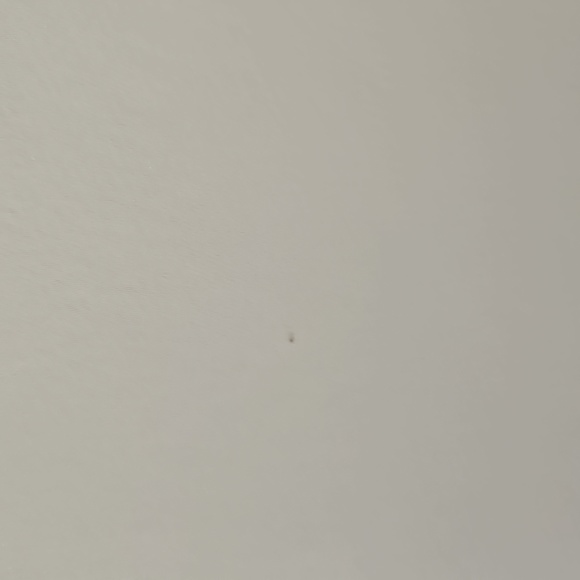 Amsale Gown - Picture 10 of 16